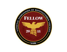 2018-naim-fellow-logo